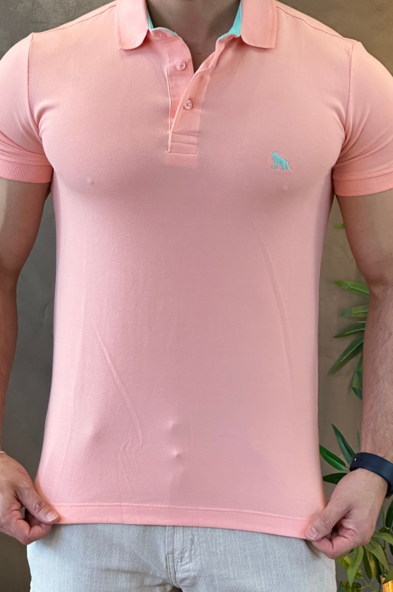 Polo Rosa Acostamento